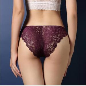 China N3004 Factory Wholesale Women Luxury Sheer Lace Low Waist Underwear supplier