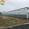 China Customizable Size Multi-Span Agricultural Invernadero with Advanced Hydroponic System wholesale
