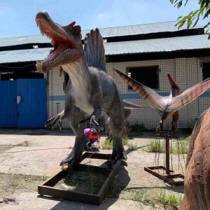 China Exhibitions Realistic Animatronic Dinosaur 6m Spinosaurus Model supplier