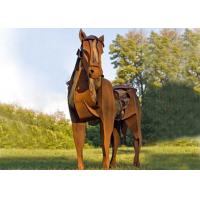 China Life Size Metal Horse Sculpture / Metal Horse Garden Sculpture Rusty Finishing on sale