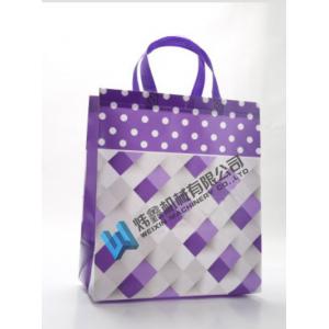 China High Quality Custom Printing Recyclable Laminated PP Non Woven Bag supplier