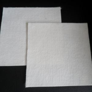 China Polypropylene Nonwoven Fabric for Earthwork Products Hotel Industry Standard Material supplier