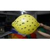 Balões limoniformes duráveis do amarelo 90cm com impressão de Digitas