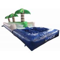 China Palm trees slope inflatable water slide 2017 China inflatable water slide with pool on sale