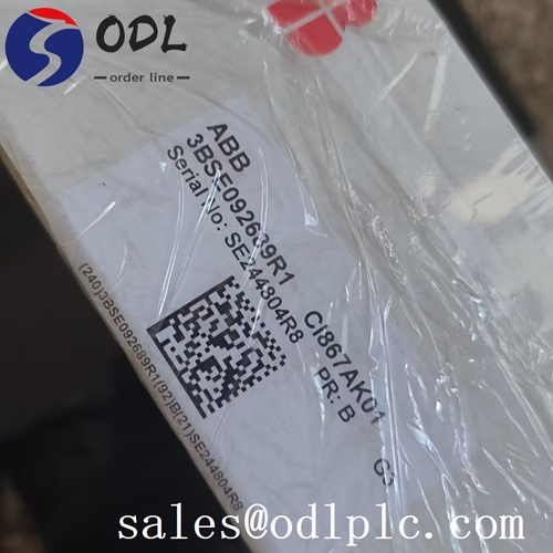 Modbus Interfaz TCP ABB Módulo de control automático ABB 3BSE092689R1 CI867AK01 Protección IP20