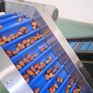 Precision Elevating Date Quality Assurance With Advanced Dates Sorting Machine