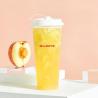BPA-Free Custom Logo Printing Transparent Disposable Plastic U-Shaped PP Cup with Lid