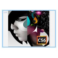 China Online Activation  CS6 Design Key Code 8.5GB For Windows on sale