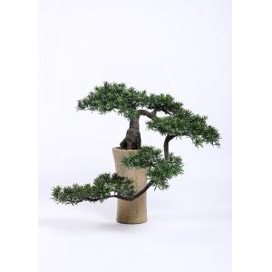 China H125cm Bonsai Pine Tree Curved Branch Stunning Wonderfully Crafted Without Pot supplier