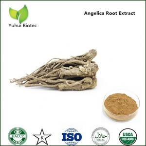 Dong Quai extract, Dong Quai extract powder, Angelica P.E.,Angelica sinensis root extract