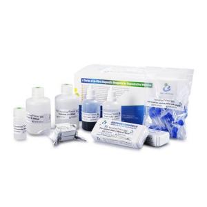 40 Tests / Kit SCD Method Sperm DNA Fragmentation Test Kit Wright Staining Dye