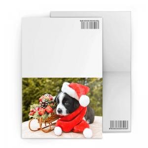 China New Year Greeting Custom Lenticular Cards PET / PP CYMK Lenticular Image Printing supplier