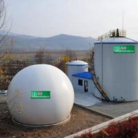 China Hydrogen Sulfide Methane Gas Scrubber Biogas Purification Equipment on sale