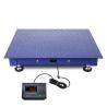 China Direct Supply 2 * 1.2-meter 500kg Carbon Steel Platform Weighing Scale with Digital Indicator and AC/DC Power Supply wholesale