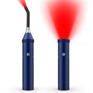 China 460nm 900nm Handheld LED Infrared Red Light Therapy Torch For Cold Sore supplier