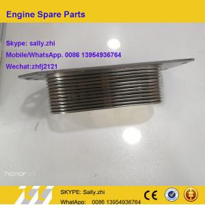 China aceite más fresco a estrenar, 3974815, piezas de Cummins Engine para 6 CTA Cummins Engine supplier