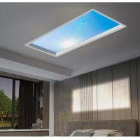 China Fashion Blue Sky Light Led Panel DC48V For Indoor House on sale