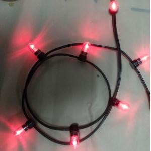 China 12v low power led clip light 100m/roll christmas lights led string Lights red rice strings 666 bulbs supplier