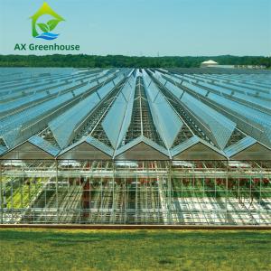 China ODM Industrial Agricultural Glass Greenhouse supplier