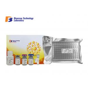 Sandwich Type Mouse Interferon Gamma ELISA Kit With 2 Hours Assay Time