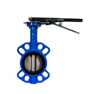 Lever Ductile Iron Butterfly Valve Double Flanged API 598/EN 12266-1 Test Standard
