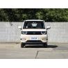 Sistema mecánico de frenado Coche eléctrico para 2024 Chery Energy QQ-Ice Cream 120km Cono