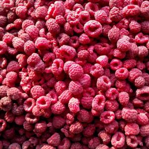 China Whole/Crumble IQF Frozen Fruit / Raspberry Bulk Packing 10kgs/12.5kgs supplier