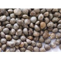 China Big Packing Type Gray Perilla Seeds , Organic Agricultural Products For Oil on sale