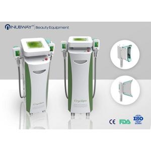 Fat Freeze Cryolipolysis Slimming Machine Touch Color Screen For Spa