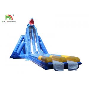 China Anti - Tear Beach Giant Inflatable Water Slide Blue Double Lanes For Adults supplier