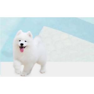 China Pet Leak Proof Disposable Puppy Pads Fast Drying Pee Pads For Dogs Pet Training supplier