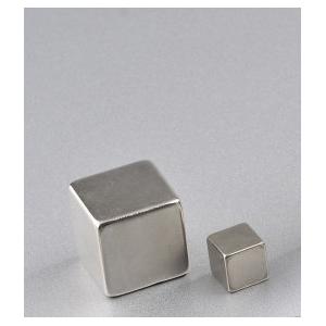 Strong Sintered NdFeb Magnets Neodymium Iron Boron Rare Earth Magnets