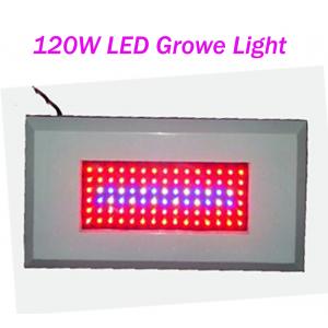 China OEM Customized Led Plant Growing Lighting 120W AC85 - 265V Red / Blue 300mA supplier