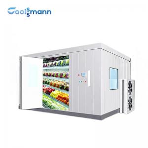 China Commercial Cold Room Freezer Container For Frozen Vegetable And Fish Seafood supplier
