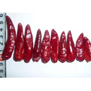 Sichuan Red Bullet Chilli Stemless Dried Hot Chili Peppers GMP