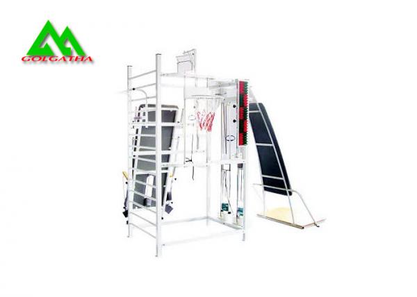 Multi Function Physical Therapy Rehabilitation Equipment for Whole Body Exercise