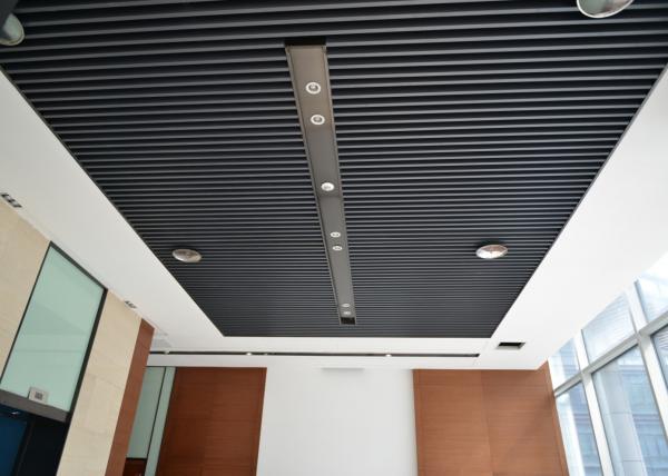 Artist Aluminum Alloy Commercial Ceiling Tiles Square Tube