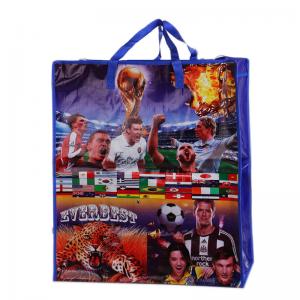 Brazil design PP Woven Bag /pp Woven Shopping Bag With Zipper/yiwu cheaper pp woven shopping bag