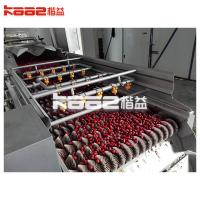 China Industrial Fresh Vegetable Fruits Cleaning Drying Processing Machinery Dry Dates Machine on sale