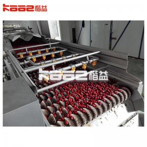Industrial Fresh Vegetable Fruits Cleaning Drying Processing Machinery Dry Dates Machine