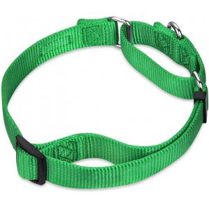 Buckle Type Heavy Duty Nylon Dog Collars Reinforced Stitching Anti Escape