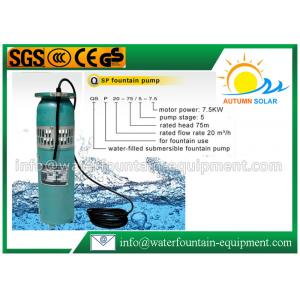 China Durable Garden Water Fountain Pumps , Simple Cast Iron Submersible Fountain Pump wholesale