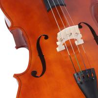 China Top Sale General Grade Student Cello (CG001) New cello where can I buy handmade cello manufacturers on sale