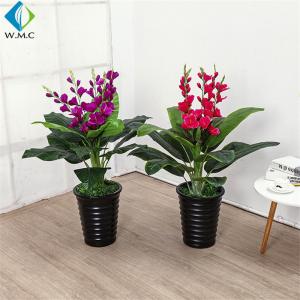 China 0.8m Height Fake Potted Plants , Orchid Bonsai Tree Customized Design supplier