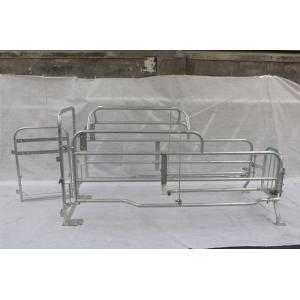 Iron Steel Pipe Sow Farrowing Pens , Swine Farrowing Equipment Any Size Available