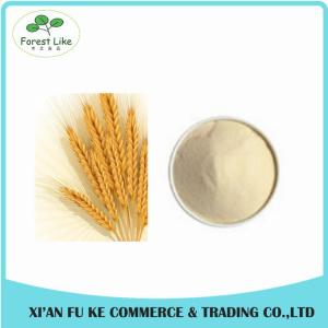 Wheat Protein / Wheat Gluten Extract Powder Protein 80%