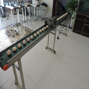 China Poultry Agriculture Egg Marking Equipment , Batch Code Printing Machine For Eggs supplier