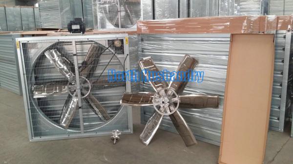 Hiệu quả mô hình liên kết chăn nuôi gà chuồng kín