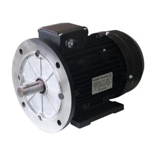 EFF2 Three Phase Electric Motor IP55 AC Induction 2 4 Pole Aluminum