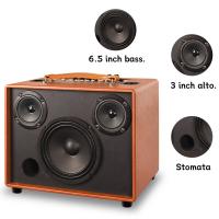 China OEM Portable Wooden Speaker 60W Bluetooth Speaker With Microphone on sale